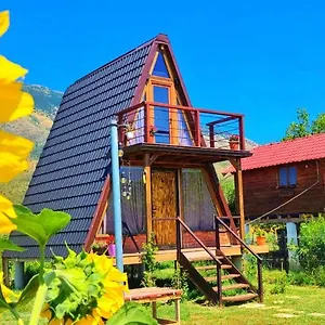 Camping Life On The Farm, Nepravishte